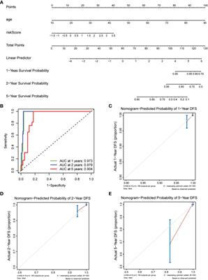 Identification of calcium metabolism related score associated with the poor outcome in papillary thyroid carcinoma